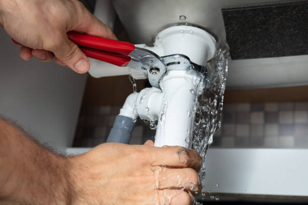Best Professional water damage repair  in Mckeesport, PA