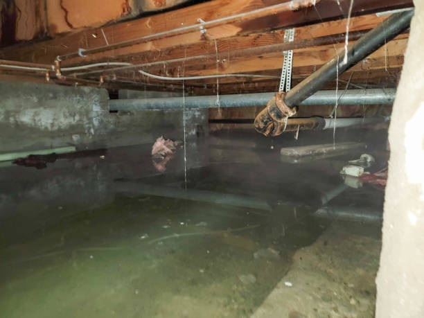 Best 24-hour water damage restoration  in Mckeesport, PA