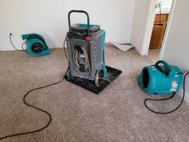 Best Water damage restoration near me  in Mckeesport, PA