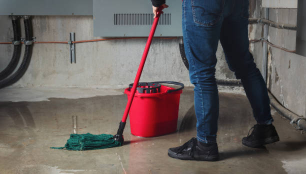 Best Water damage cleanup near me  in Mckeesport, PA