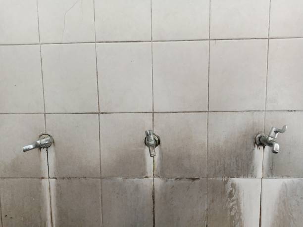 Best Ceiling water damage repair  in Mckeesport, PA