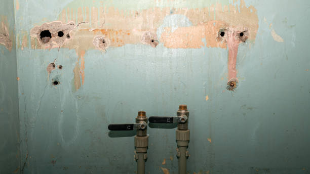 Best Basement water damage restoration  in Mckeesport, PA