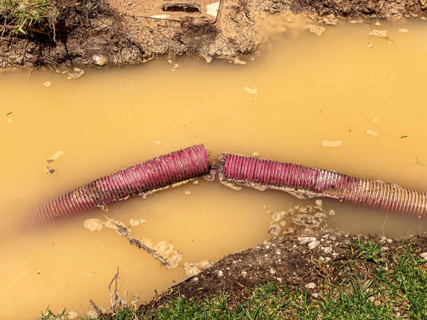 Best Sewage cleanup and water damage restoration  in Mckeesport, PA