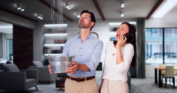 Best Fire Damage Restoration  in Mckeesport, PA