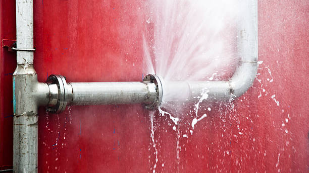 Best Flooded house restoration  in Mckeesport, PA